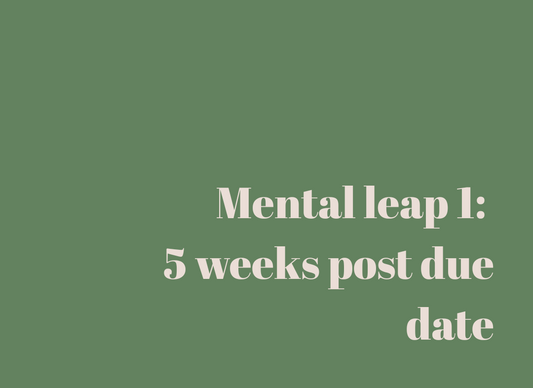 Mental leap 1: 5 weeks post due date