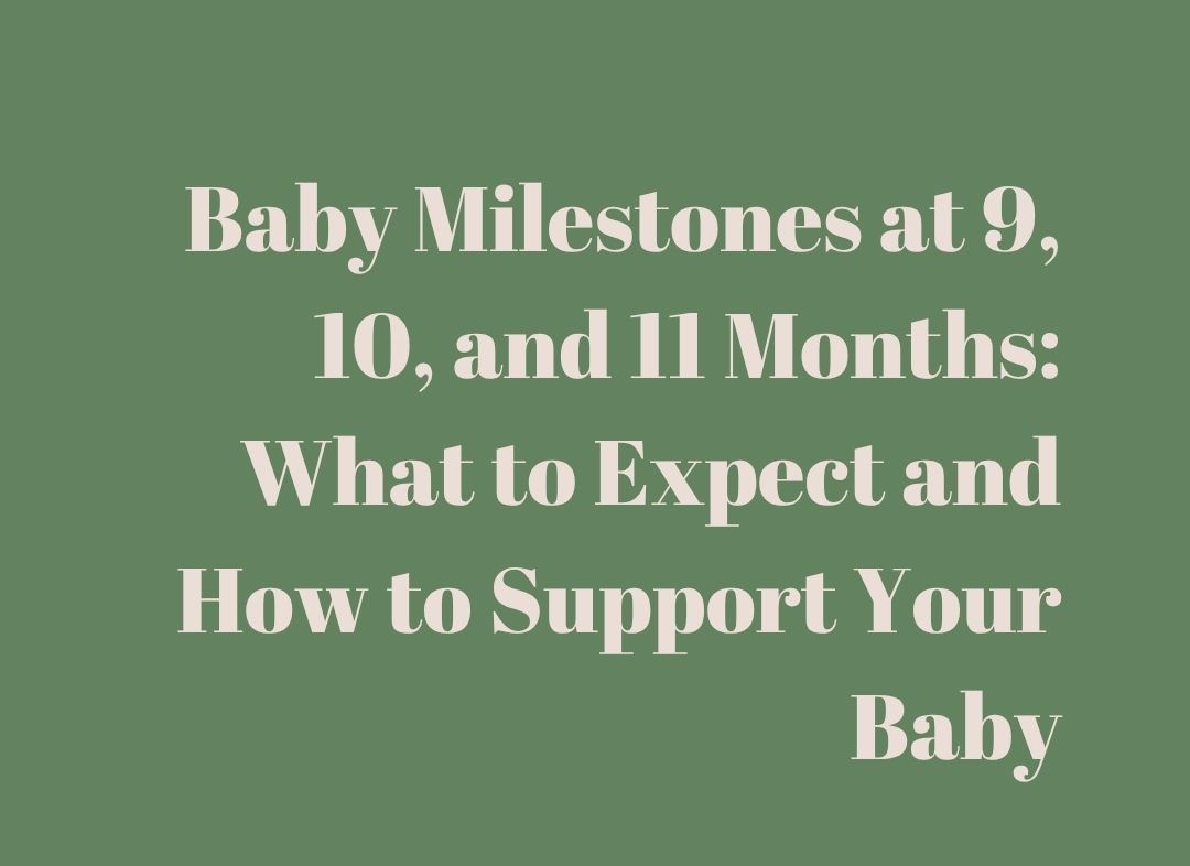 Baby Milestones at 9, 10, and 11 Months: What to Expect and How to Support Your Baby