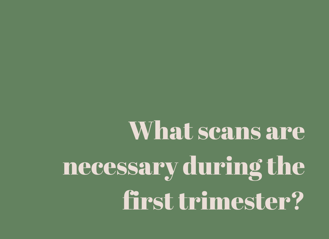 What scans are necessary during the first trimester?