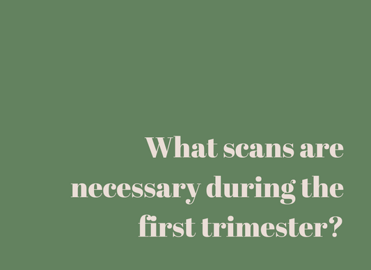 What scans are necessary during the first trimester?