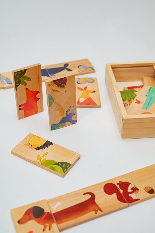 Wooden Domino Puzzle