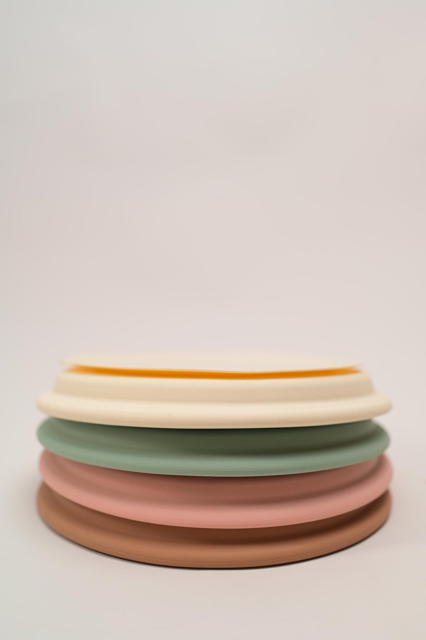 Stainless Steel Plate with Suction