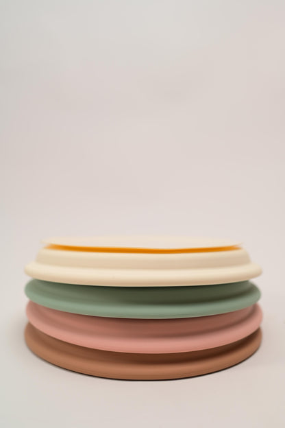 Stainless Steel Plate with Suction