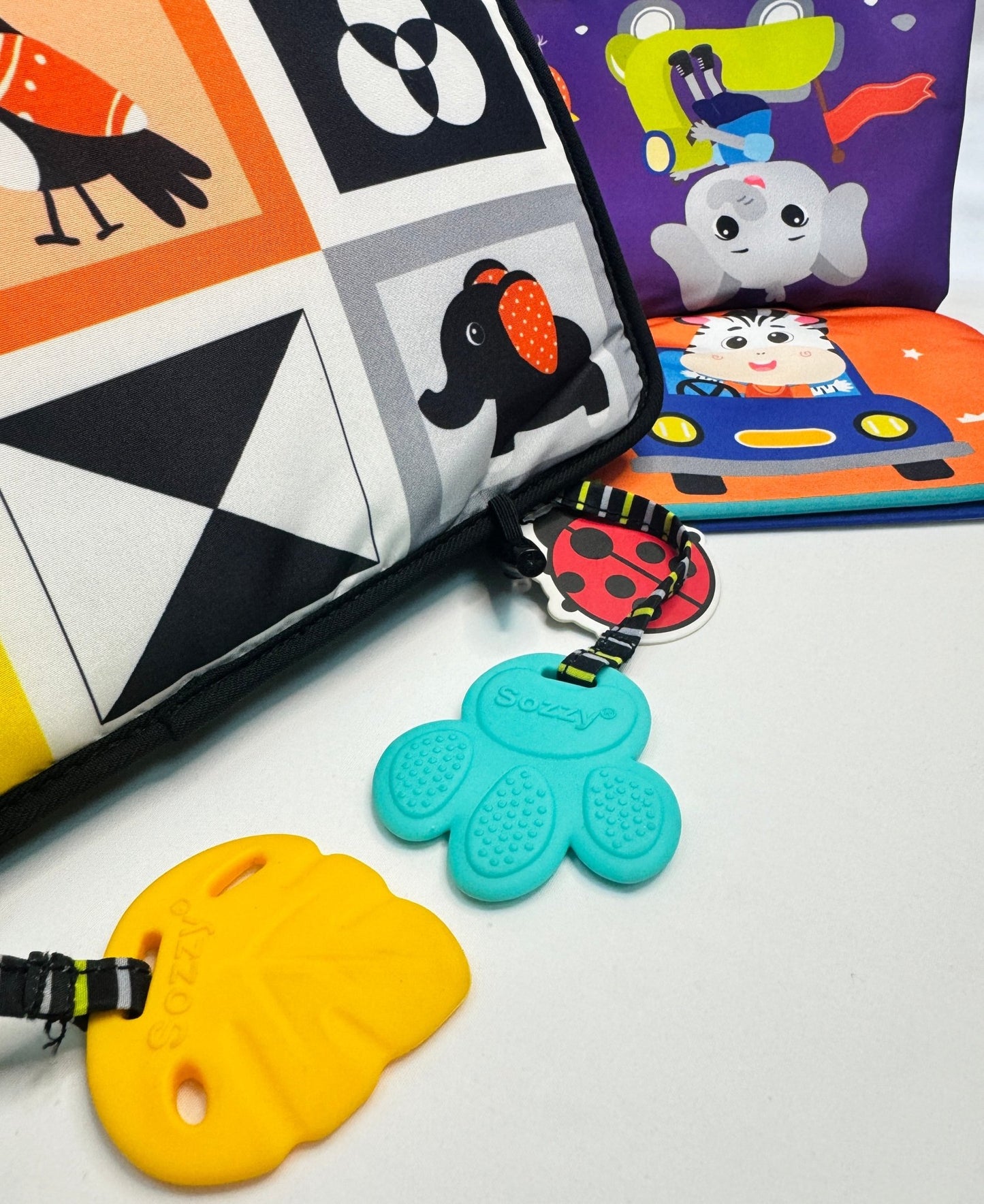 High Contrast Baby Mat and Detachable Book - ShopGoud