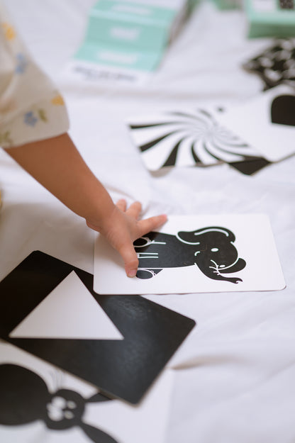 Black and White Flash Cards