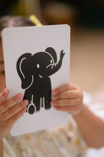 Black and White Flash Cards